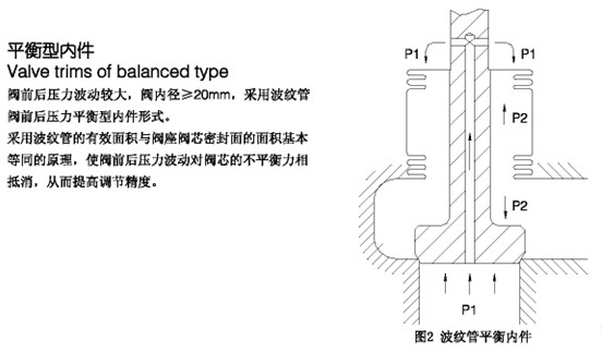 指挥7.jpg